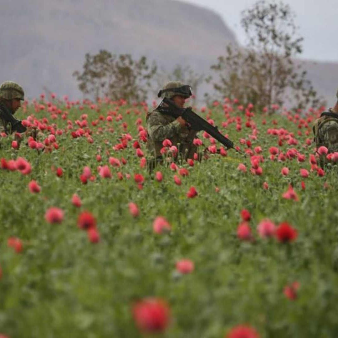 Drogas sintéticas ganan terreno: ONU