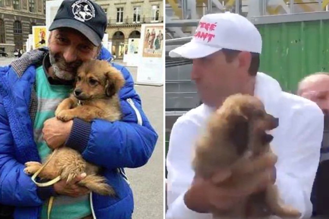 Hombre en situación de calle recupera a su perrita robada