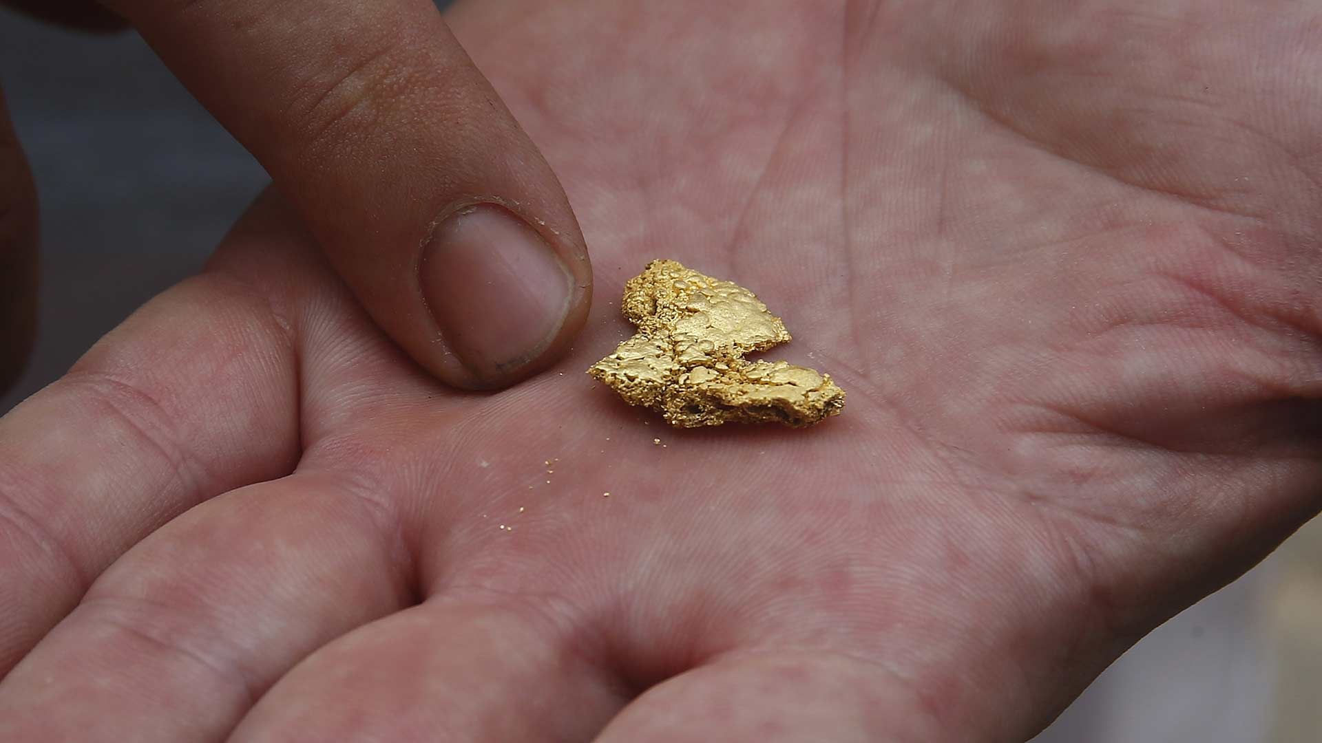 Niño Encuentra Pepita de Oro de 24 Quilates Durante Paseo Escolar a Mina