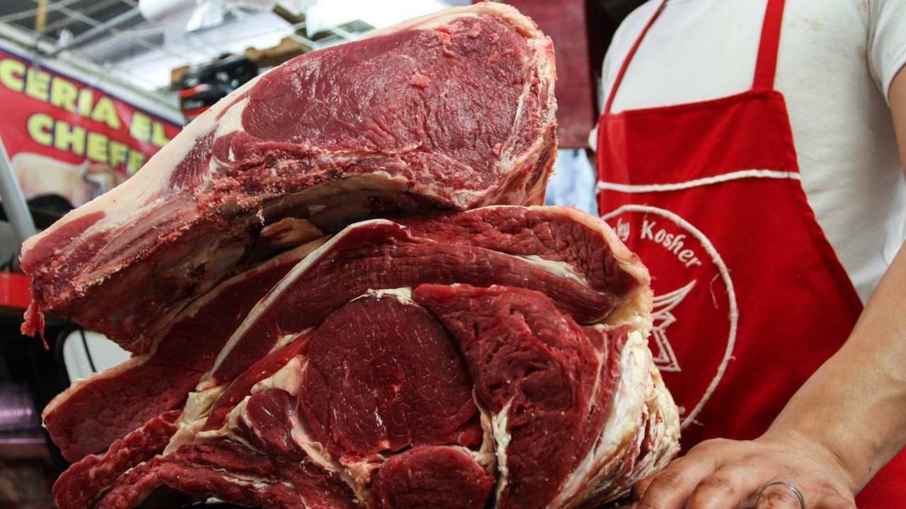 Aumentan Casos de Alergia a Carne Roja por Picadura de Garrapata