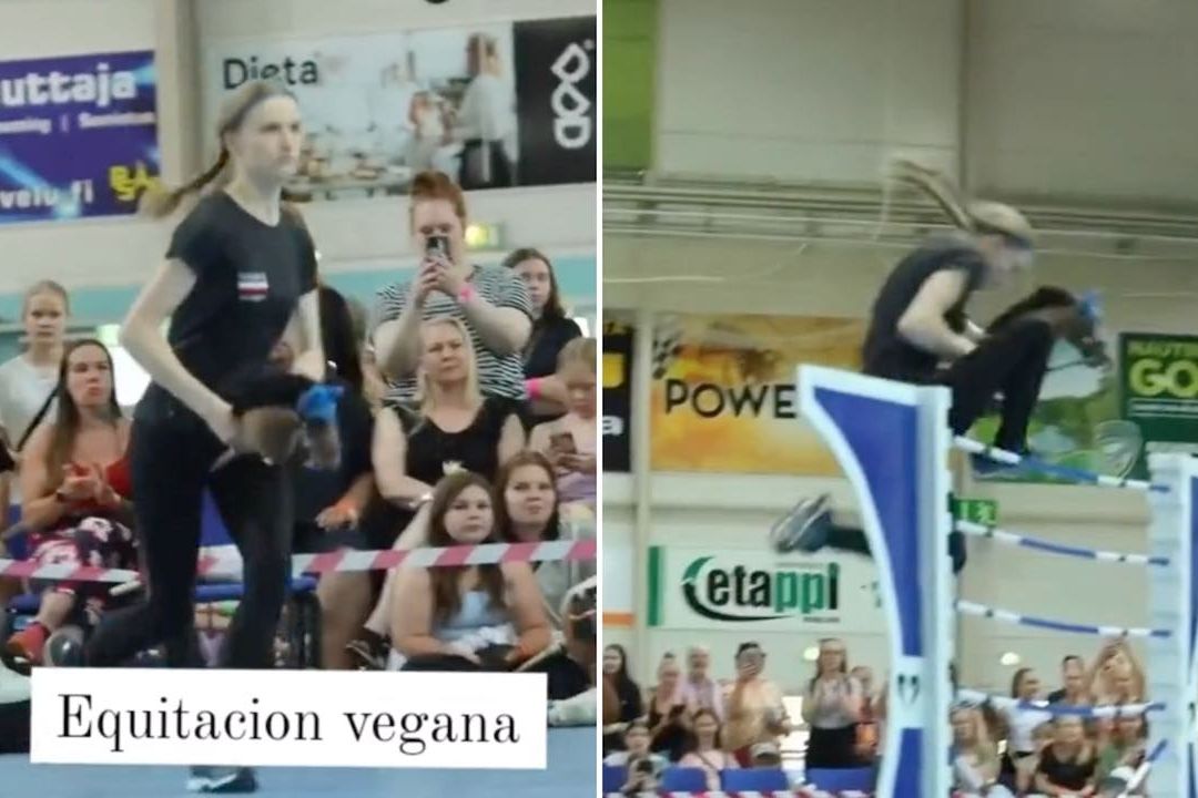 Deportistas practican ‘equitación vegana’ en Finlandia