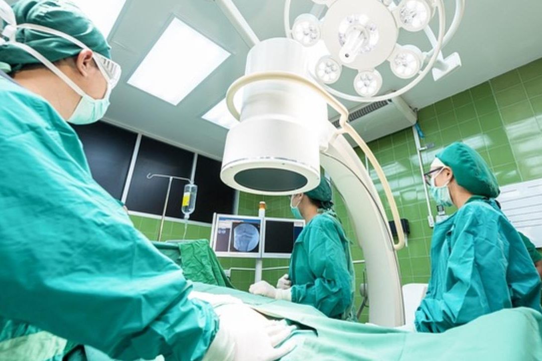 Logran trasplantar riñón de cerdo a ser humano con muerte cerebral