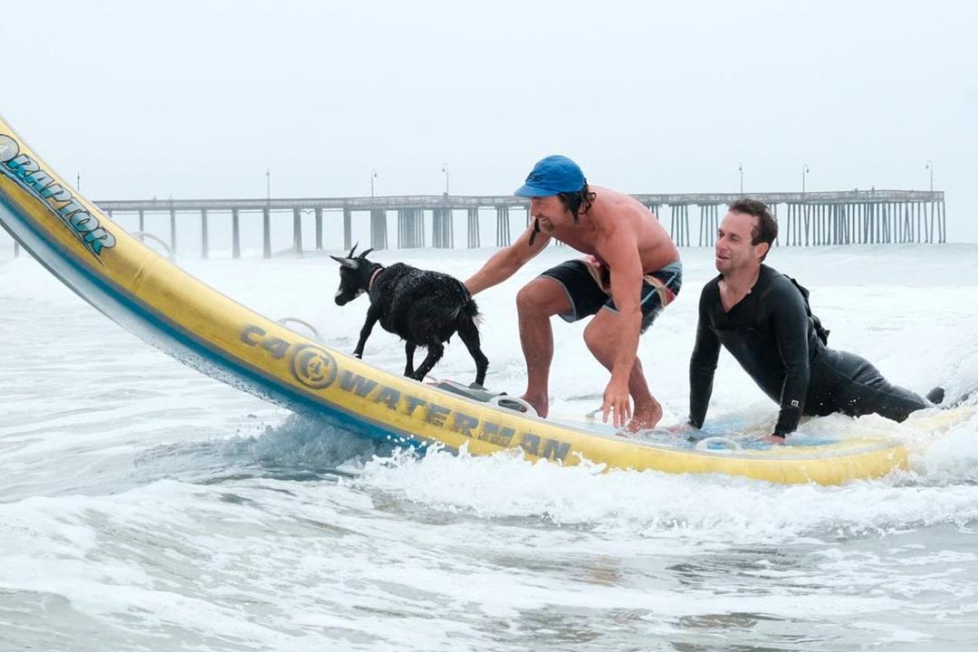 Instructor Enseña a Surfear ¡Con Ayuda de Cabras!