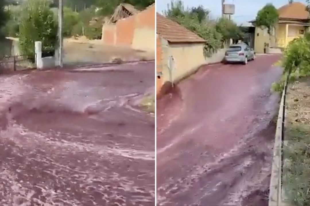 Río de Vino Tinto Inunda las Calles de Anadia, Portugal