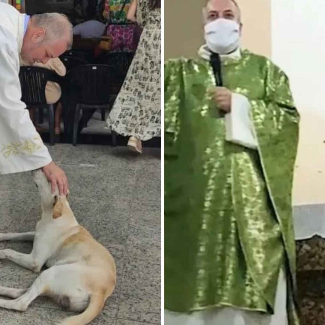 Sacerdote Rescata Perros y Aprovecha Misas para Darlos en Adopción