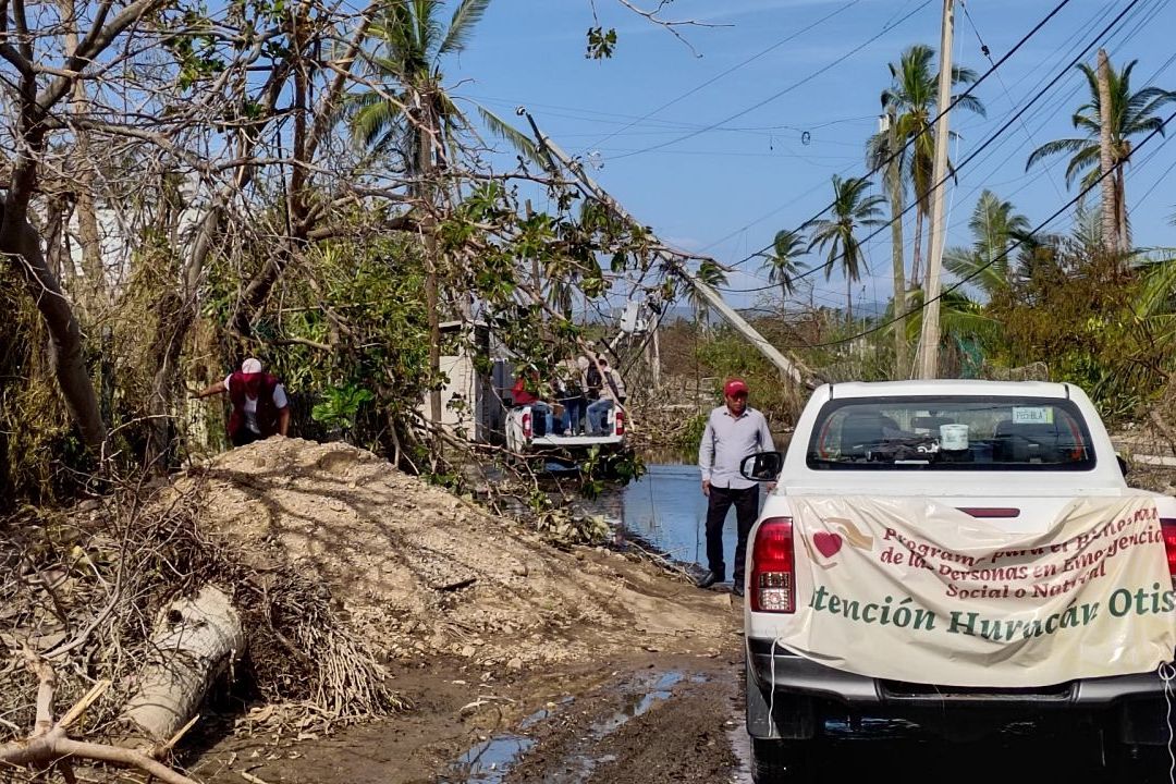 Otis afectó cultivos de maíz, mango, limón y copra en Guerrero