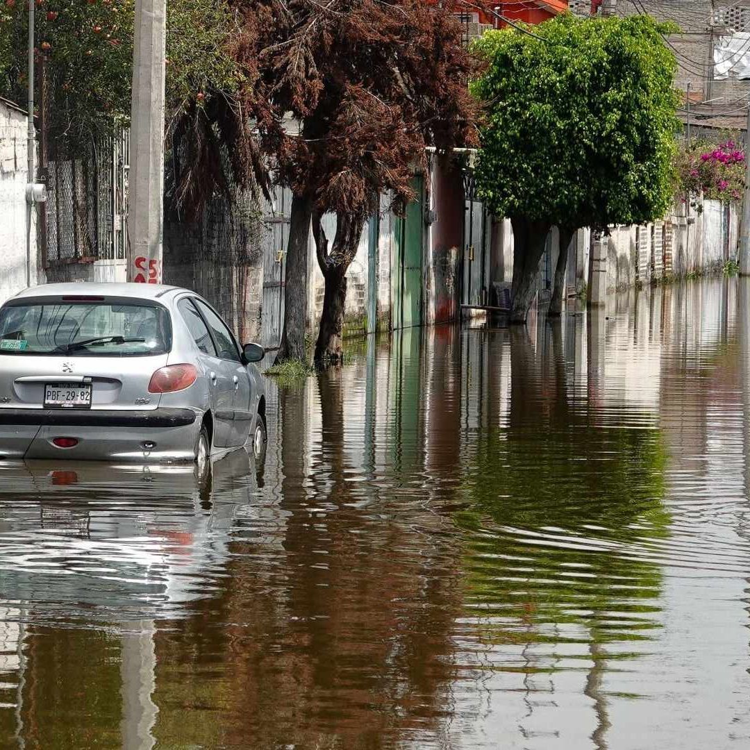 Las 5 de En Punto con Enrique Acevedo Hoy Lunes 19 de Agosto de 2024