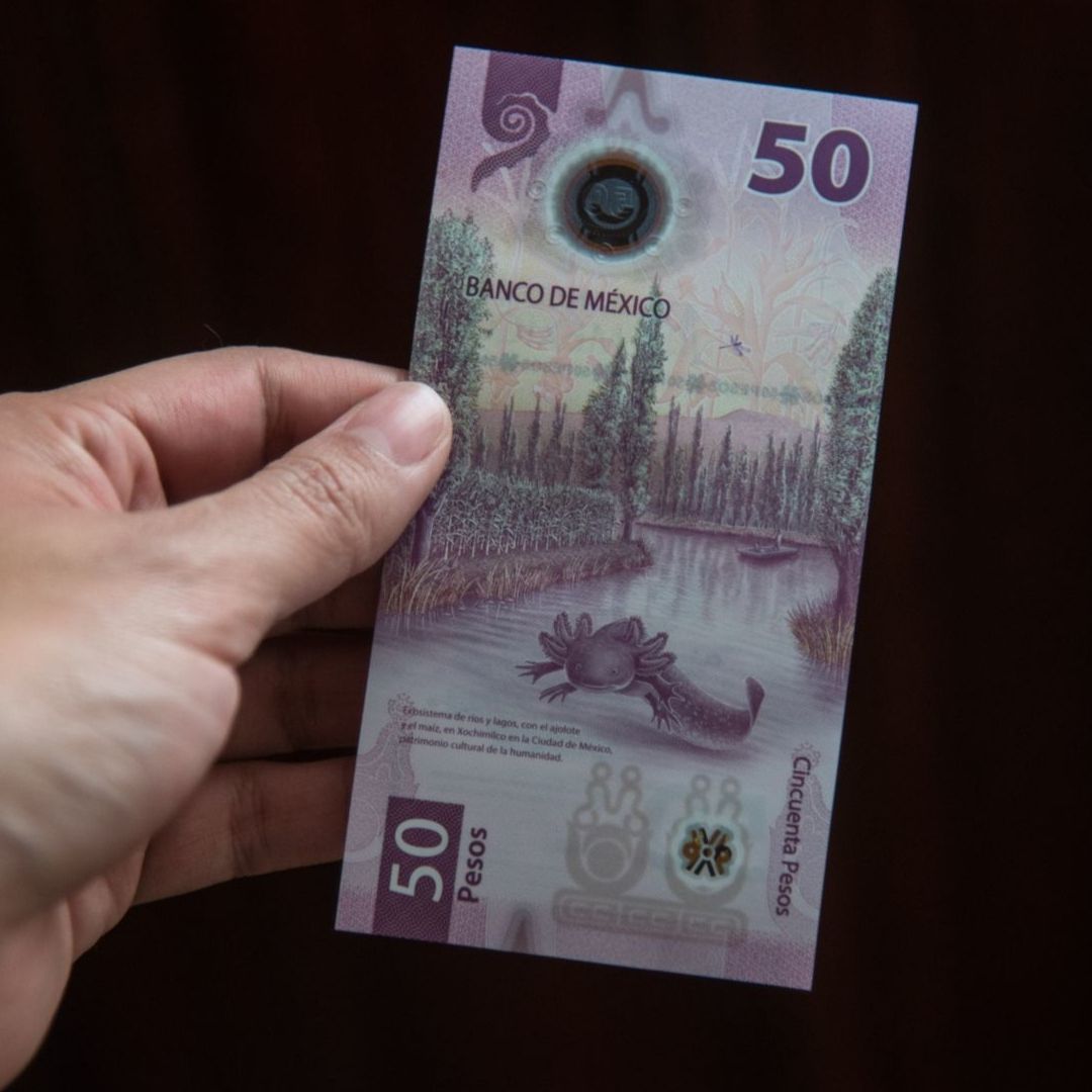 ¿Dejará de Circular el Billete Mexicano de 50 Pesos del Ajolote? Esto dijo Banxico