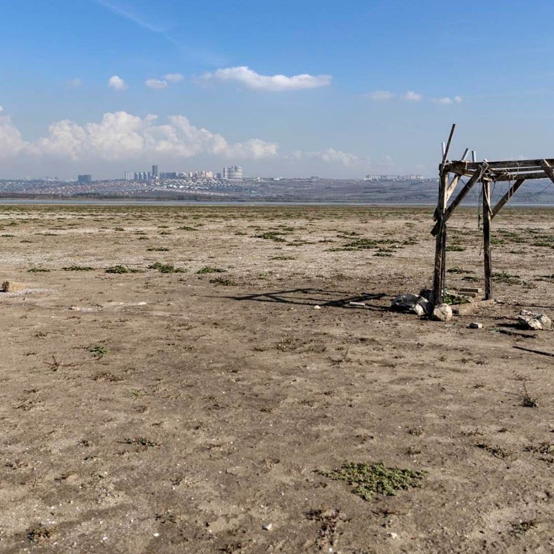 La Unicef alertó que 1 de cada 6 niños y niñas está expuesto a una grave escasez de agua en América Latina y el Caribe