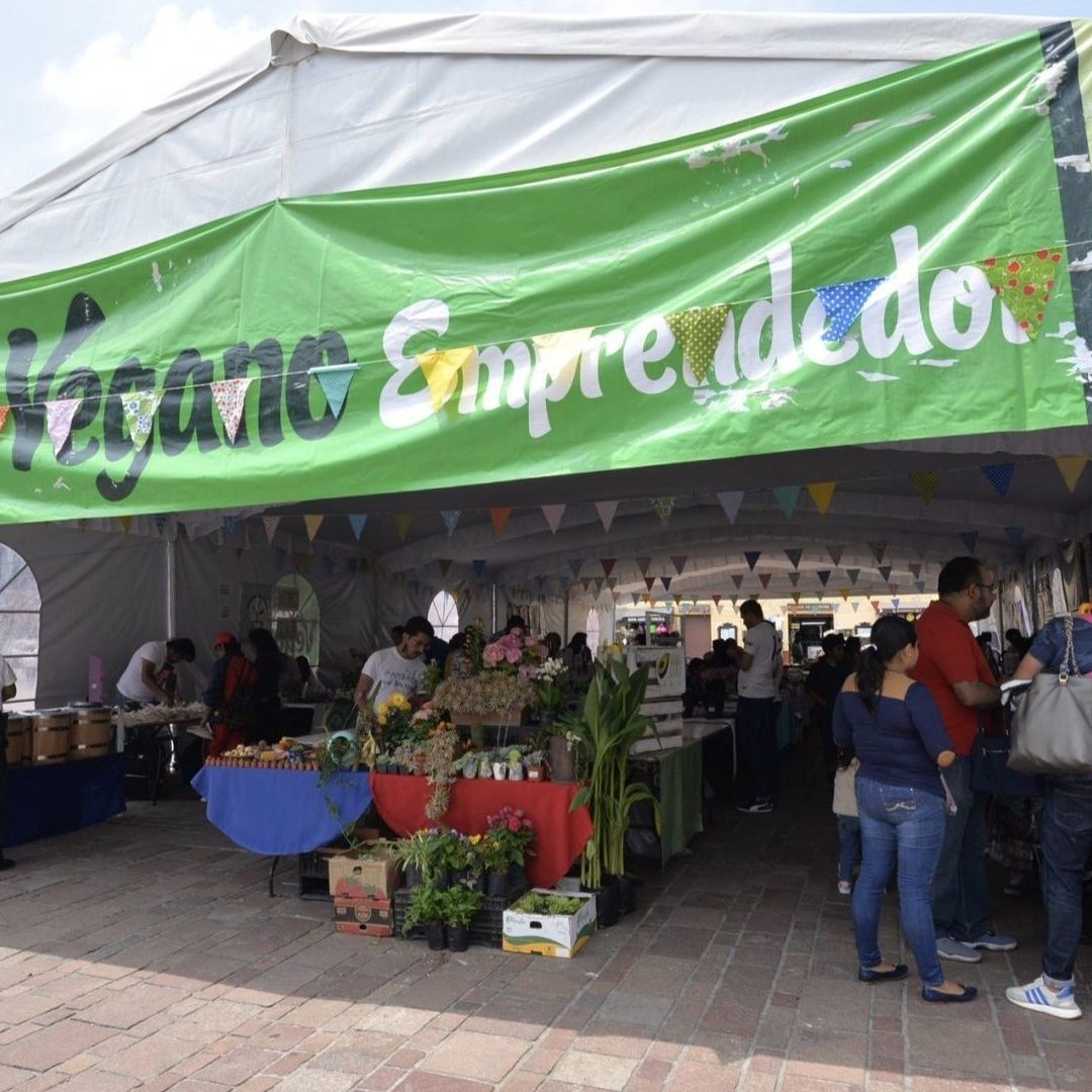 México Pierde Emprendedores en 2024: Inegi Reporta Disminución de Personas que Dan Empleo