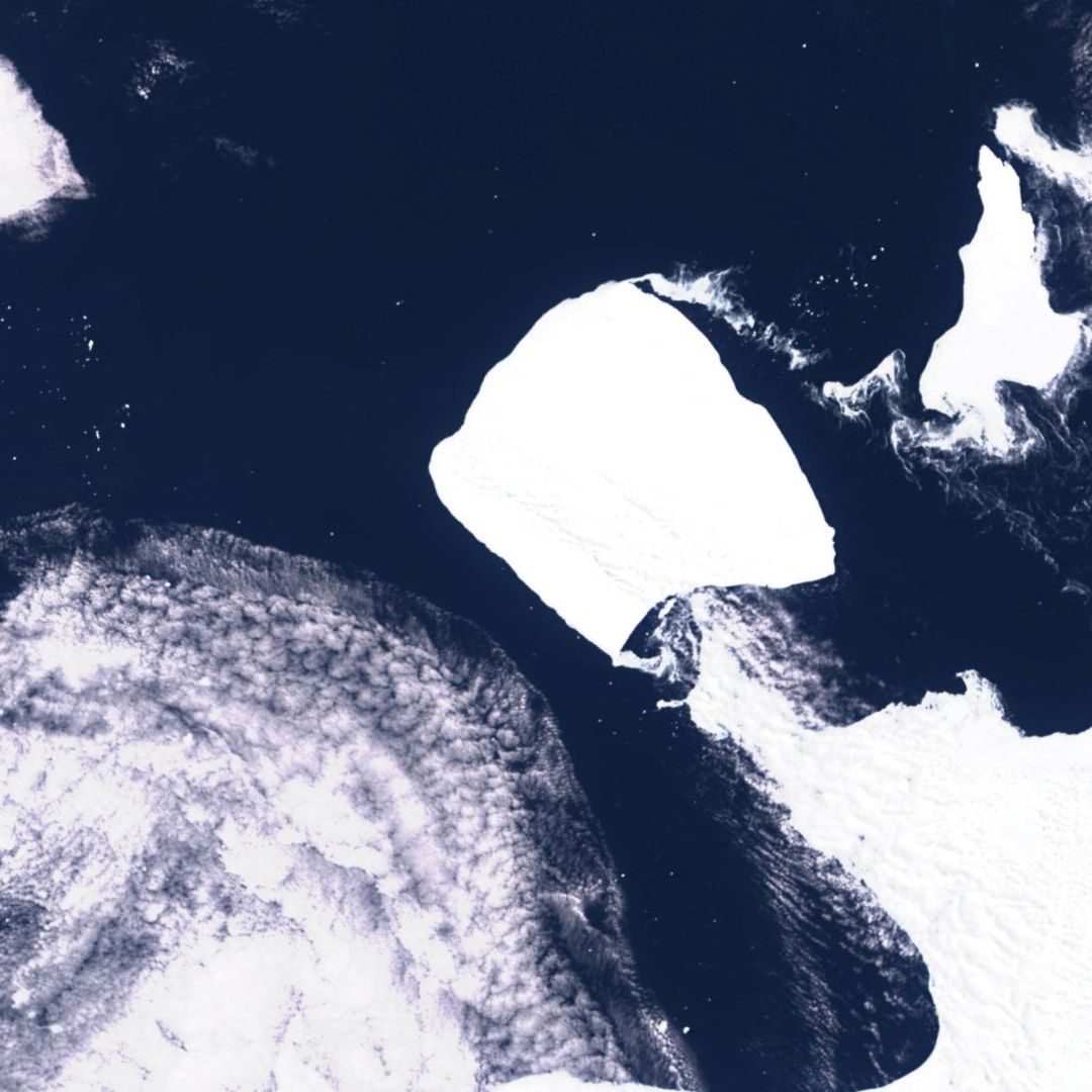 El iceberg, denominado A23a