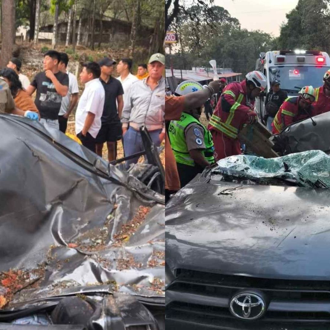 Cae árbol en la México-Cuernavaca y deja un muerto.