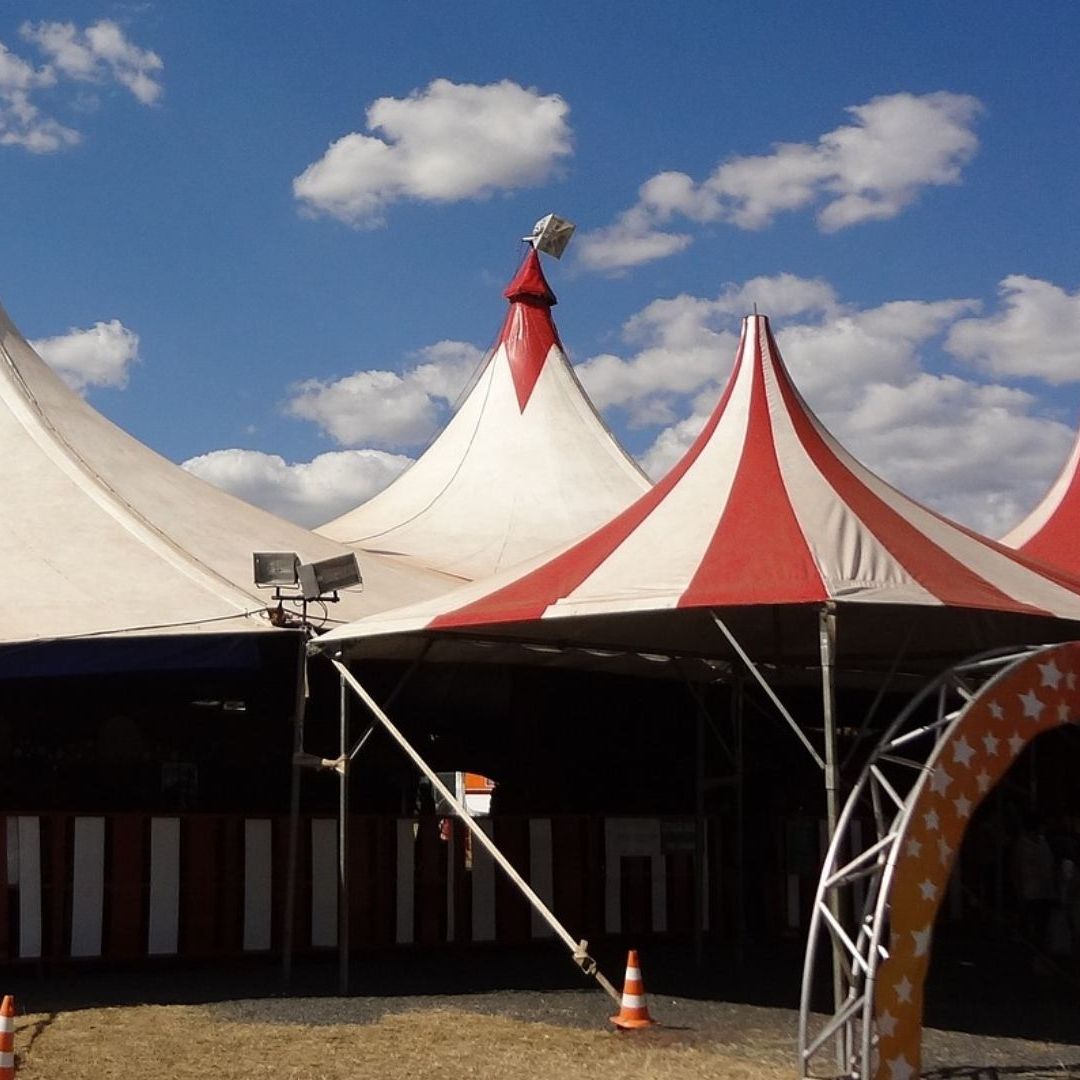 Video: Acróbata Muere Durante Show en Un Circo