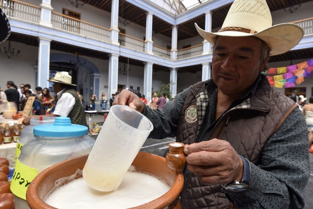 Estas calorías aporta un vaso de pulque natural y de curado