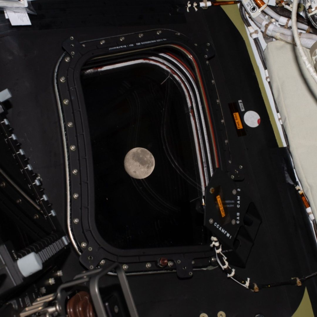 Artemis II No Alunizará: Orión Sobrevolará Hoy, Lunes la Luna en Misión de la NASA.