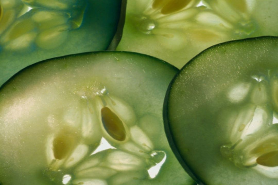 ¿Fruta o verdura?, curiosidades que no conocías del pepino