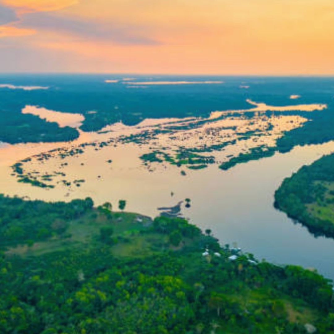 La Amazonía Está en Peligro; la Mitad Desaparecería en 2050 y Alteraría el Clima Mundial