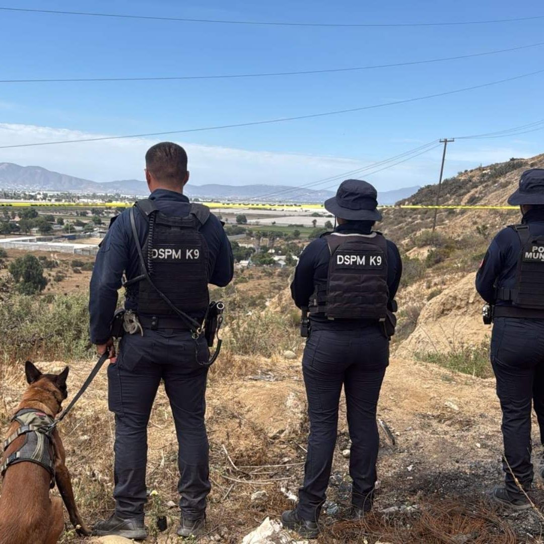 Localiza Unidad K-9 Cuerpo de Un Hombre en Zona Agreste de San Carlos, Ensenada