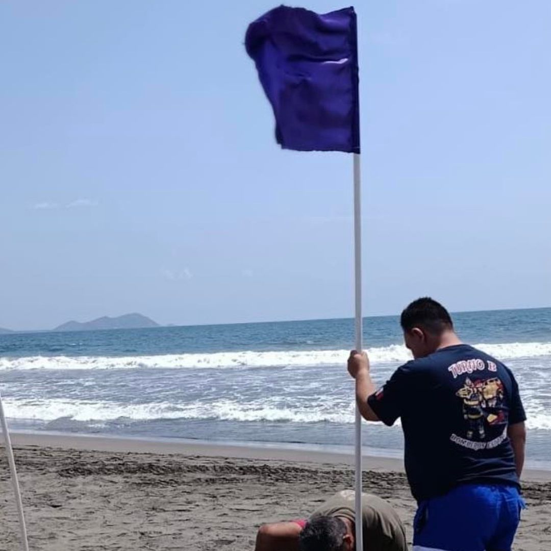 Bandera morada por dragón azul.