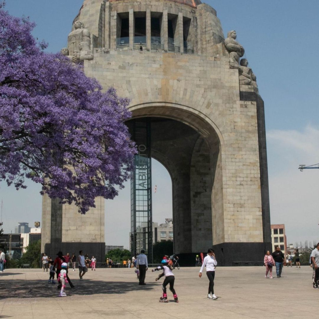 Reacciones Alérgicas Aumentan en Primavera; Especialista Explica Causas y Emite Recomendaciones