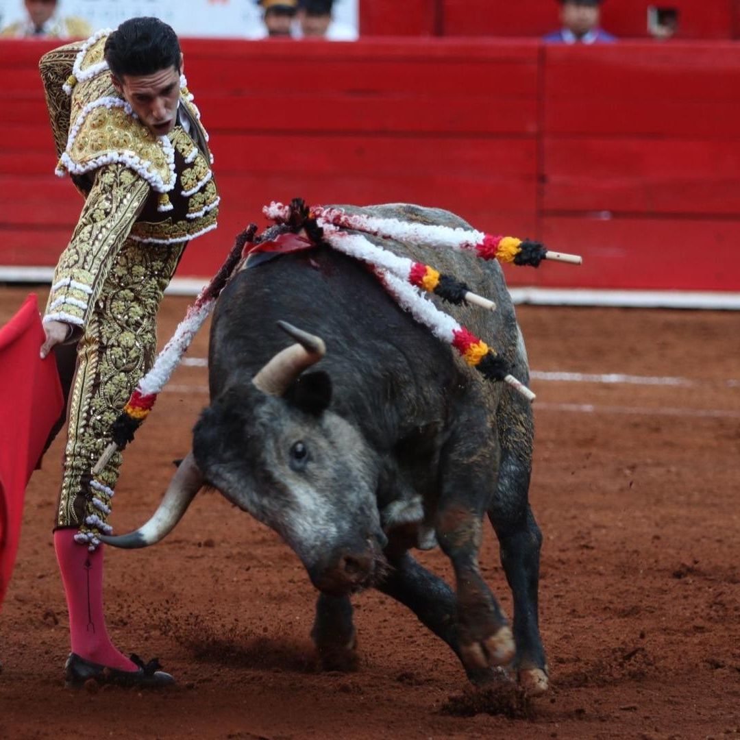 Alejandro Talavante en la Monumental Plaza de Toros en CDMX