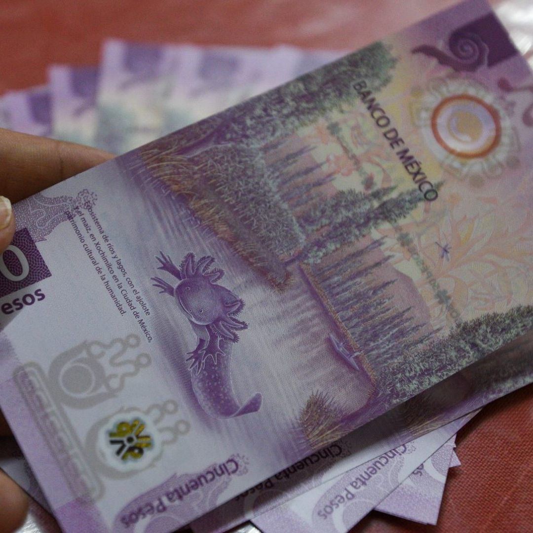 Cuánto toca de reparto de utilidades por 1 año; esta cantidad de días debes trabajar para recibir pago