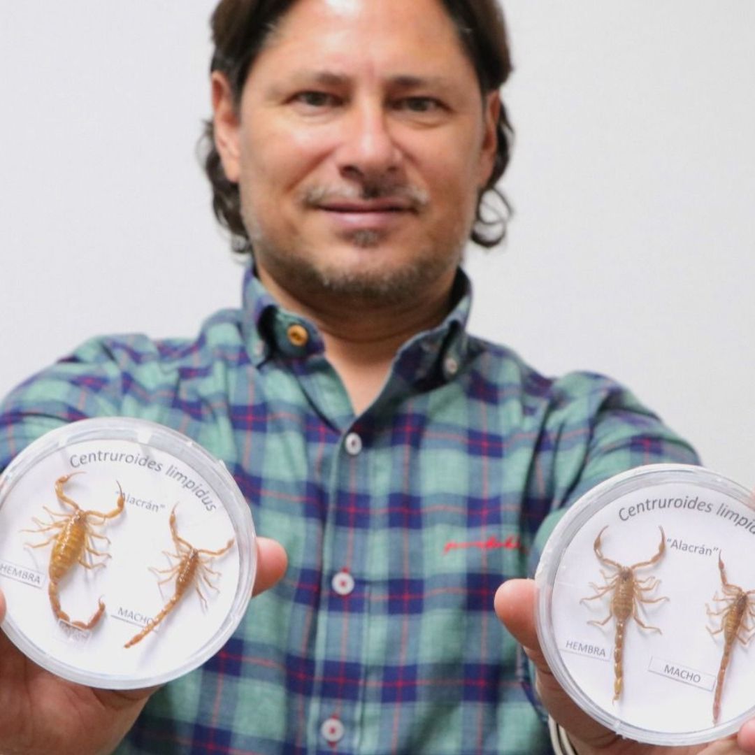 En época de calor aumenta la presenciad de alacranes.