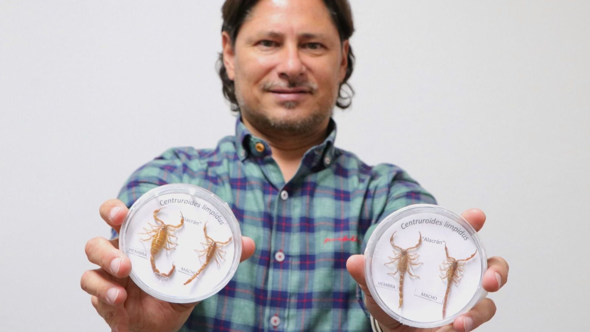 En época de calor aumenta la presenciad de alacranes.