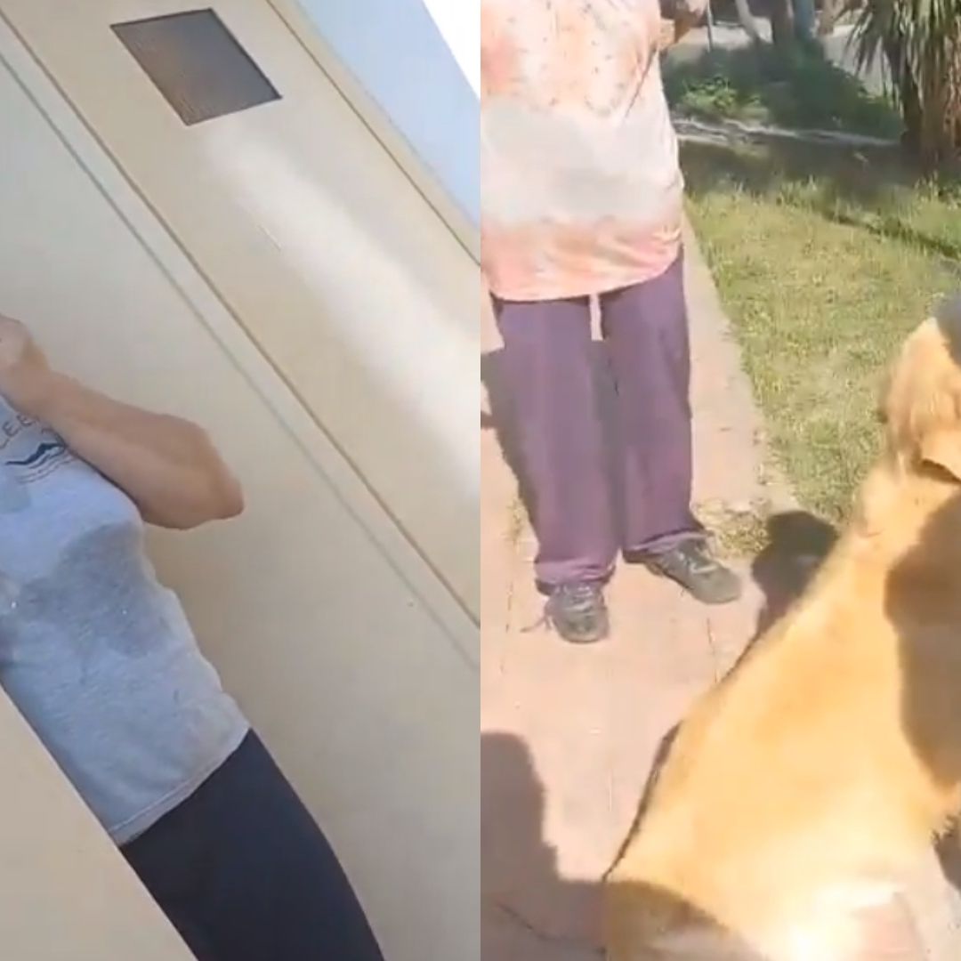Perro de 9 años es rescatado después que una mujer pidiera a carnicería matarlo para comerlo