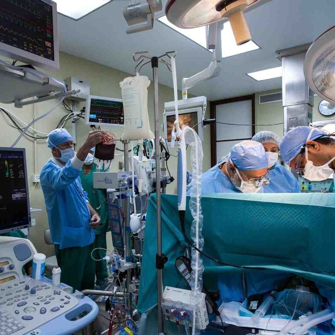 Fallece primer hombre en recibir riñón de cerdo modificado genéticamente