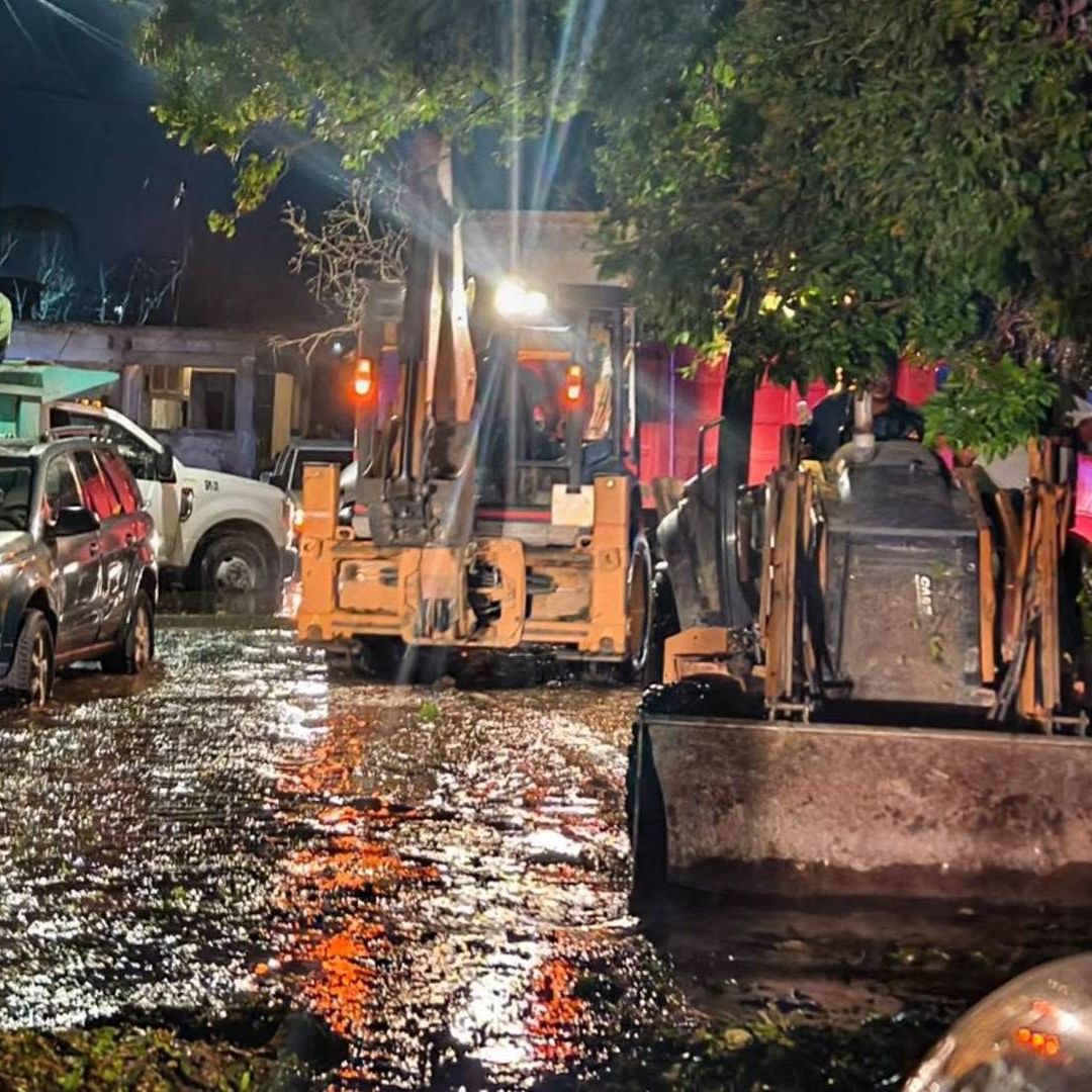 Así Fue la Tromba que Sorprendió a La Laguna: Causa Daños, Caída de Árboles y Animales Muertos