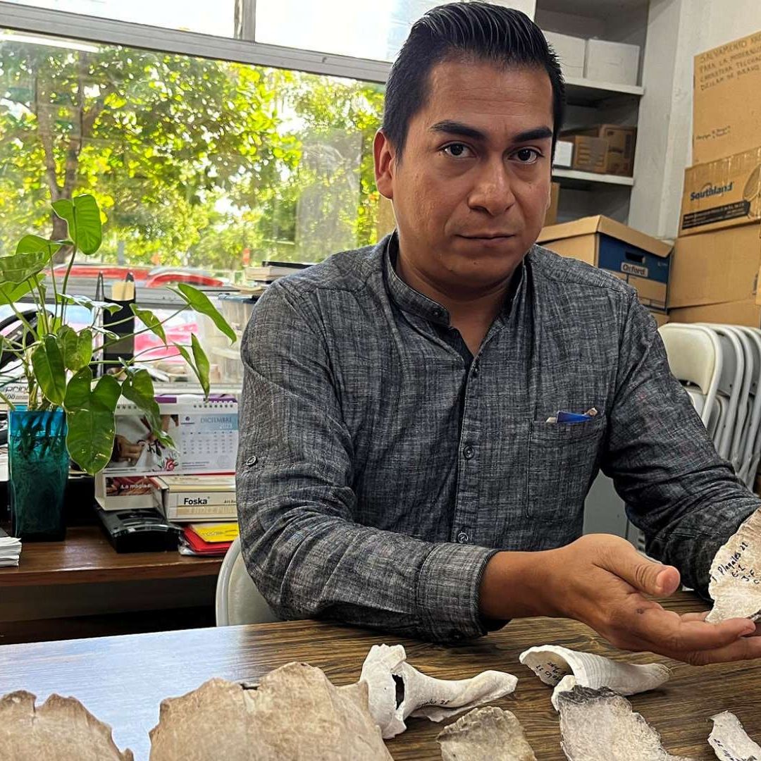Arqueólogos de Yucatán descubrieron un campamento prehispánico donde los mayas aprovechaban especies de caracol para alimentarse