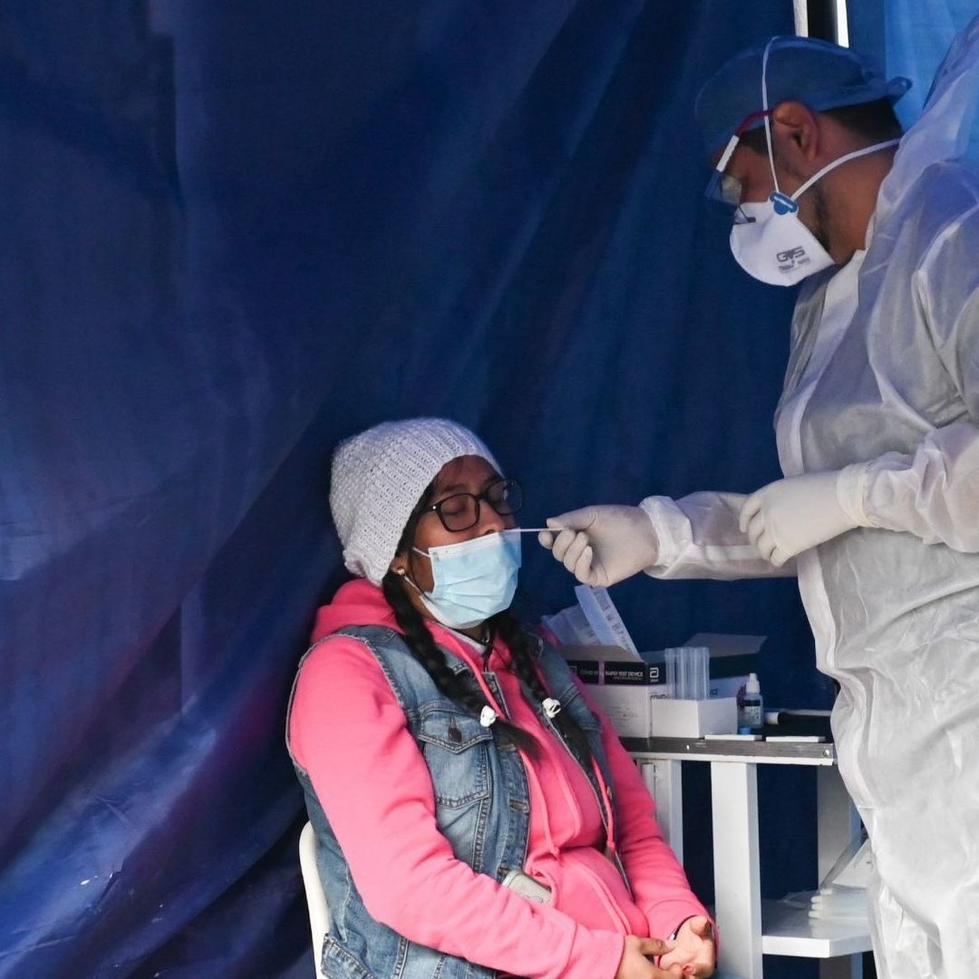 Desarrollan vacuna inhalable en polvo seco para prevenir COVID-19 en animales