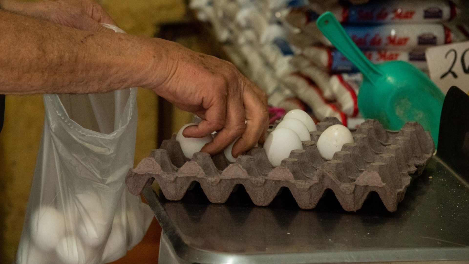 Venta de huevo