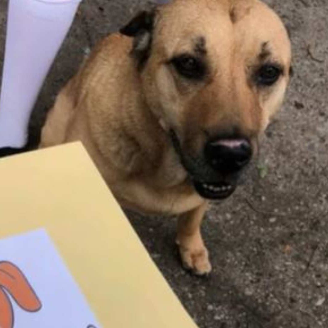 Flavio recibió su diploma acompañado de una compañera.