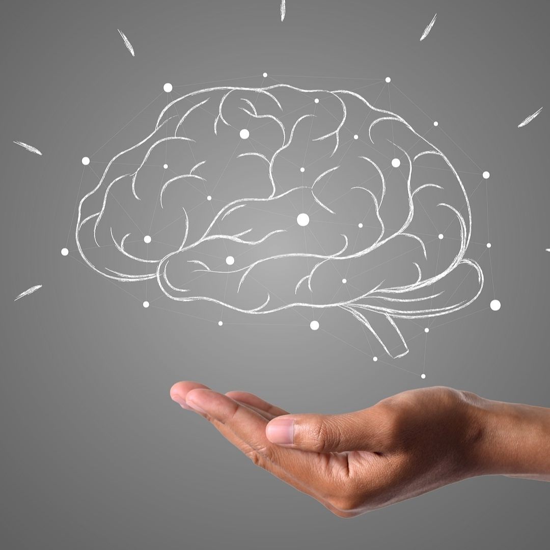 Estos Son los Alimentos que Afectan la Memoria y la Salud Mental