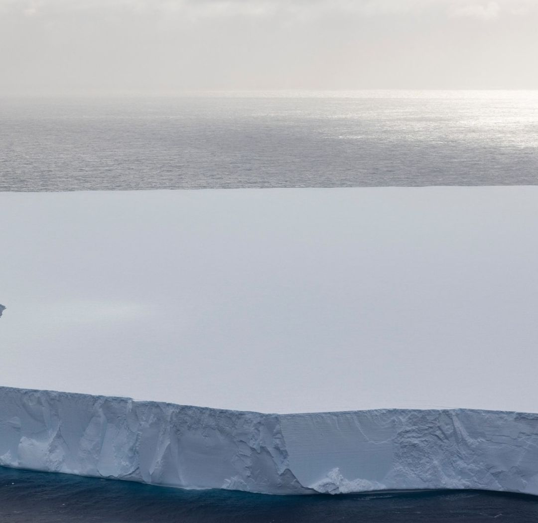 Iceberg A23A, el Más Grande del Mundo, Podría Chocar Contra una Isla; ¿Dónde y Cuándo?