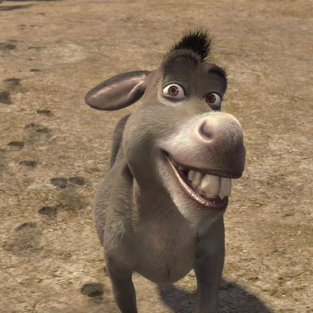 Perry fue el burro que inspiró al célebre personaje de Shrek