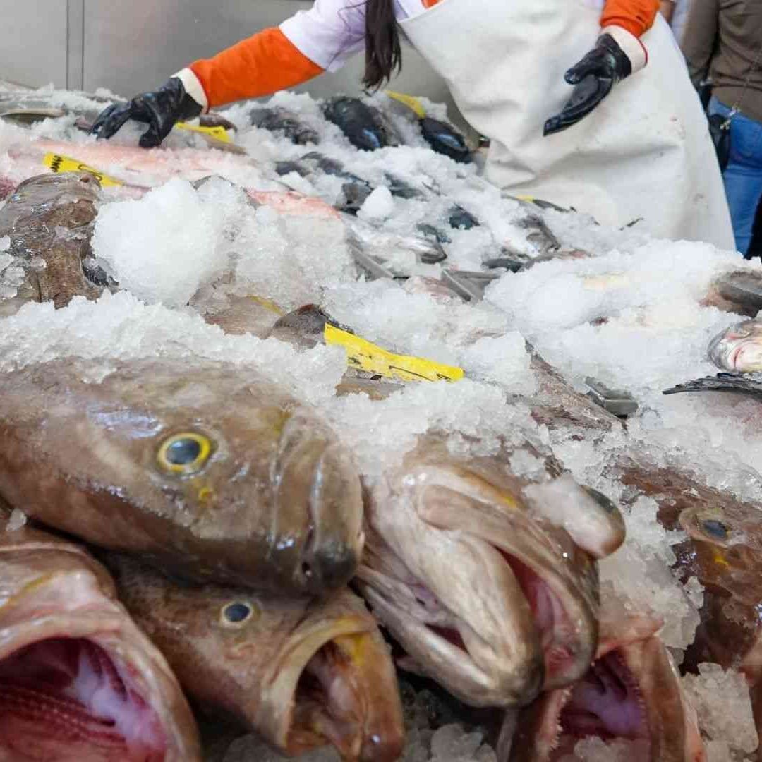 venta de pescados y mariscos en La Viga