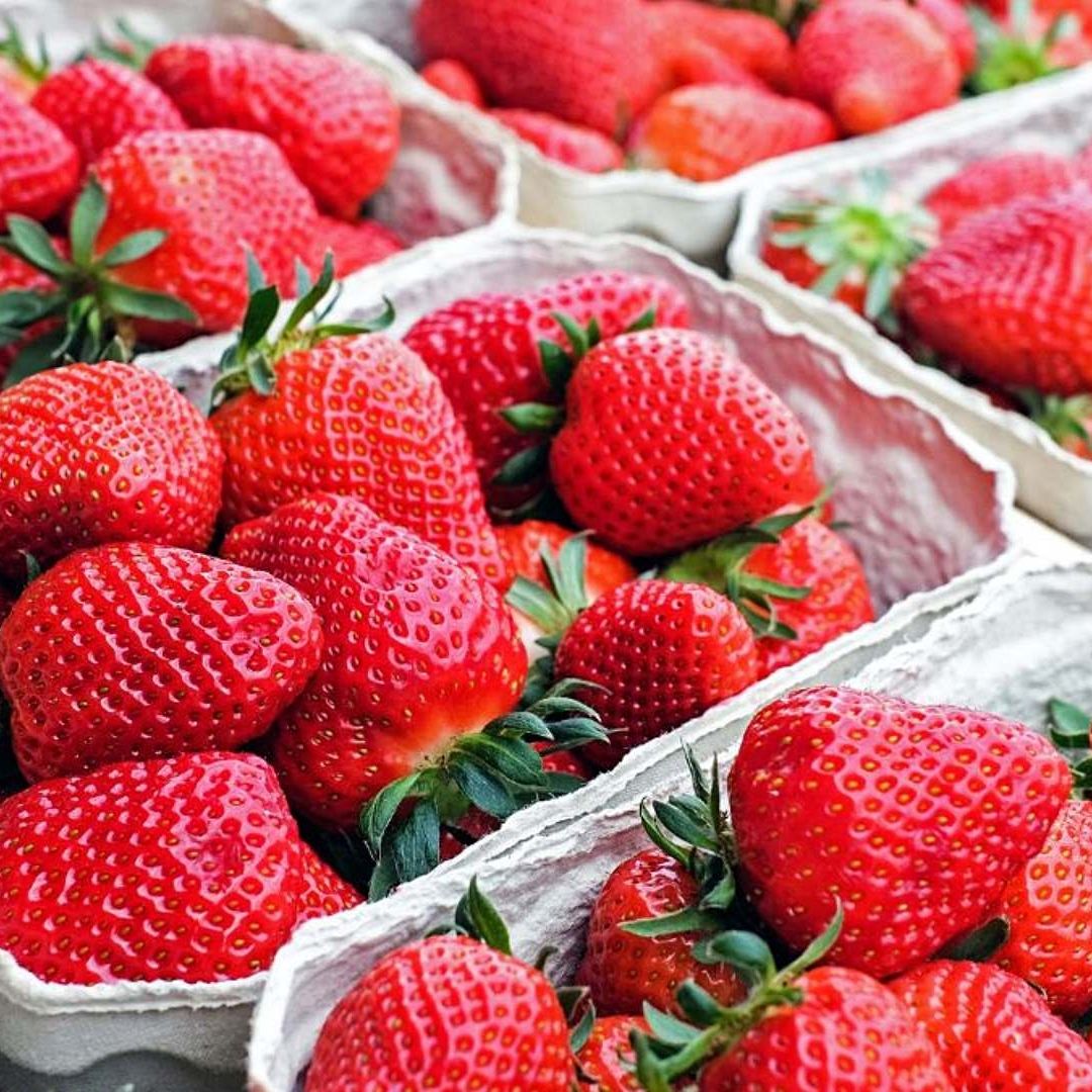 Las fresas tienen poderosas propiedades antioxidantes