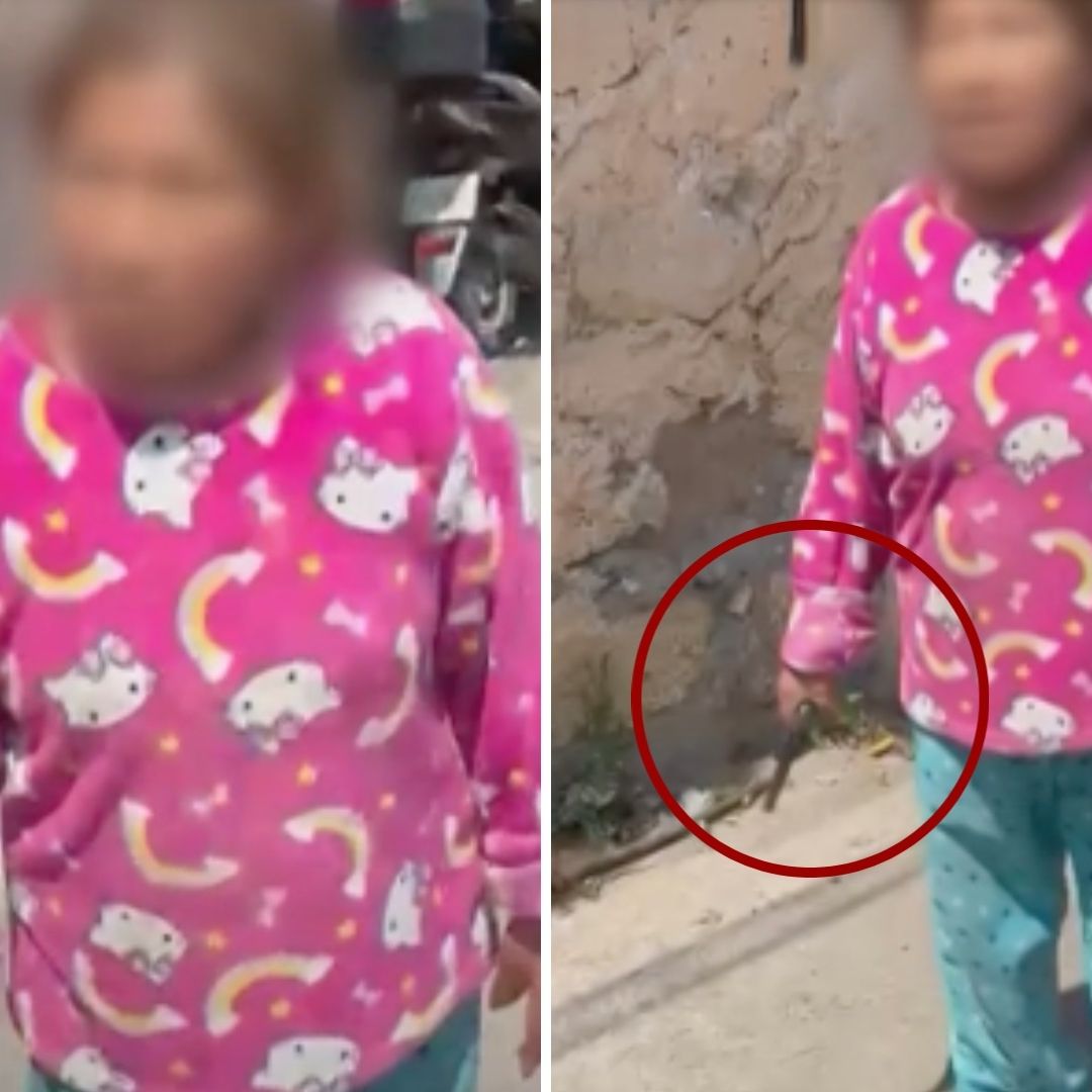 ¿Doña Carlota? Mamá Balea a Vecinos para Defender a su Hijo Durante Riña en CDMX