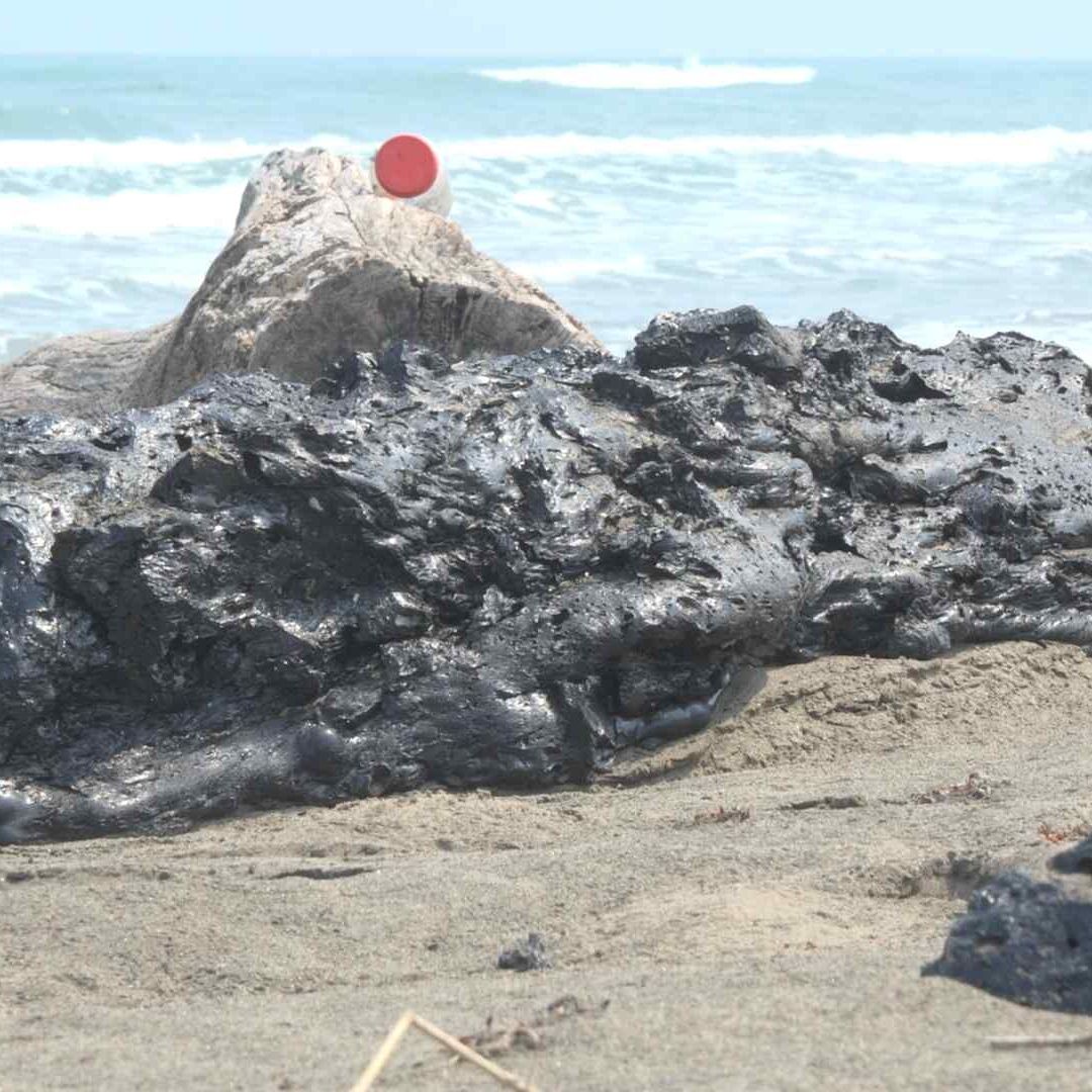 Juez Federal Concede Amparo por Derrame de Hidrocarburo en Golfo de México Ambientalistas Veracruz Tabasco Campeche