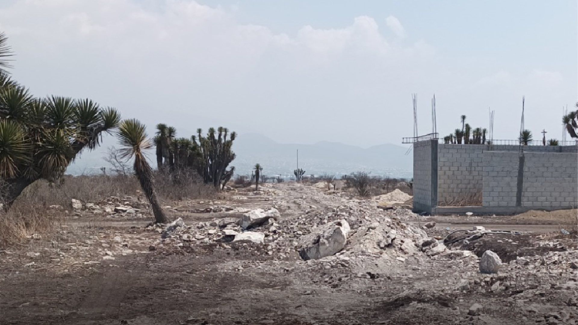 Reserva de la Biósfera Tehuacán Cuicatlán Profepa Obras Lotificación Construcción Clausuradas