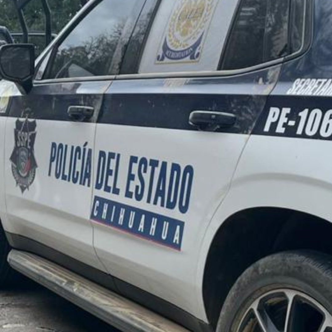Investigan Caída de Avioneta Presuntamente Derribada a Tiros en el ‘Triángulo Dorado’