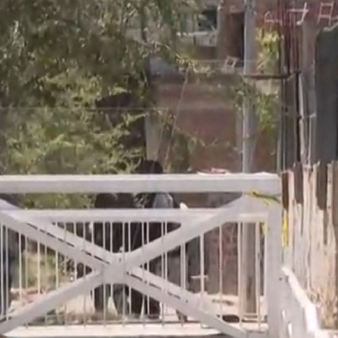 Una pareja encontró a un hombre muerto en su casa
