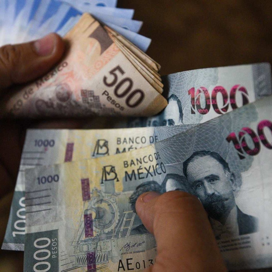 Estas Son las Empresas que No Pagarán Utilidades en 2025: Lista Completa de la STPS