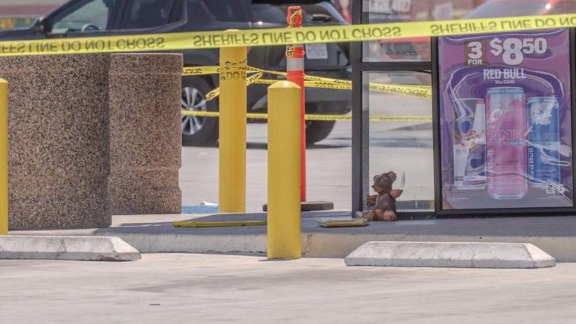 Inquieta un Osito de Peluche Hallado Envuelto con Piel 'Humana' en Parada de Autobús