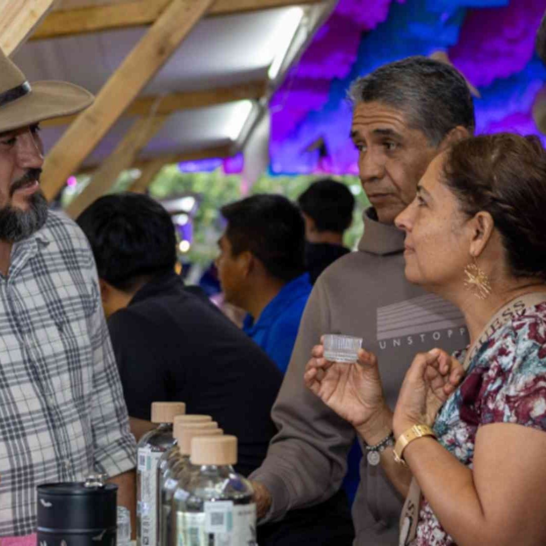 Feria del mezcal 2025.