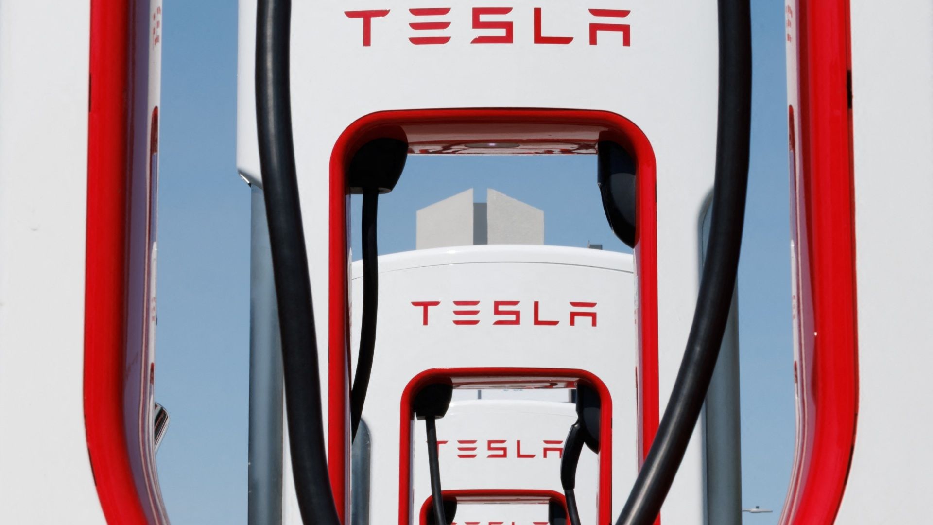 Acciones de Tesla se Desploman por Ambiciones Políticas de Musk: ¿En Cuánto Cotizan?