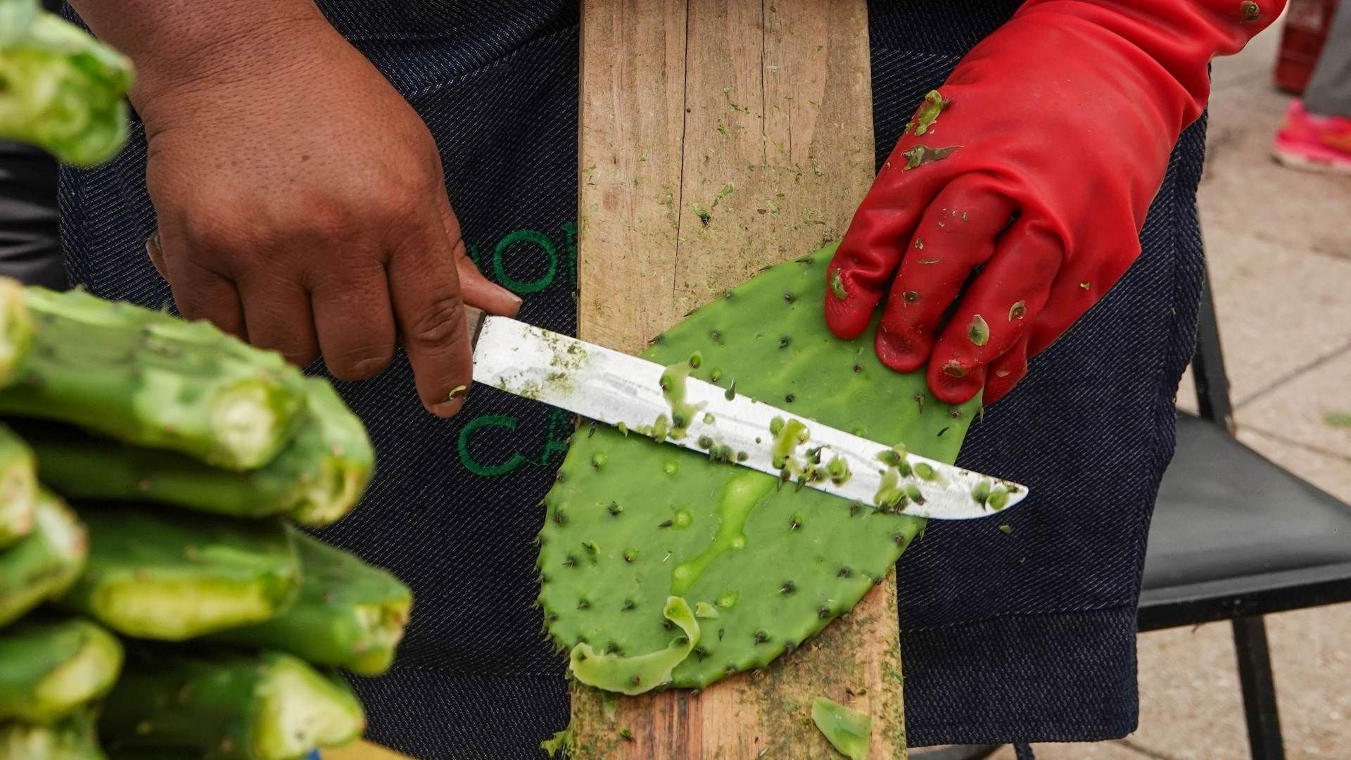 Agricultor retira las espinas a un nopal durante Feria del Nopal en CDMX el 8 de junio de 2025